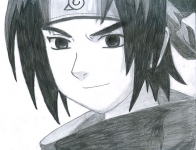 sasu XD